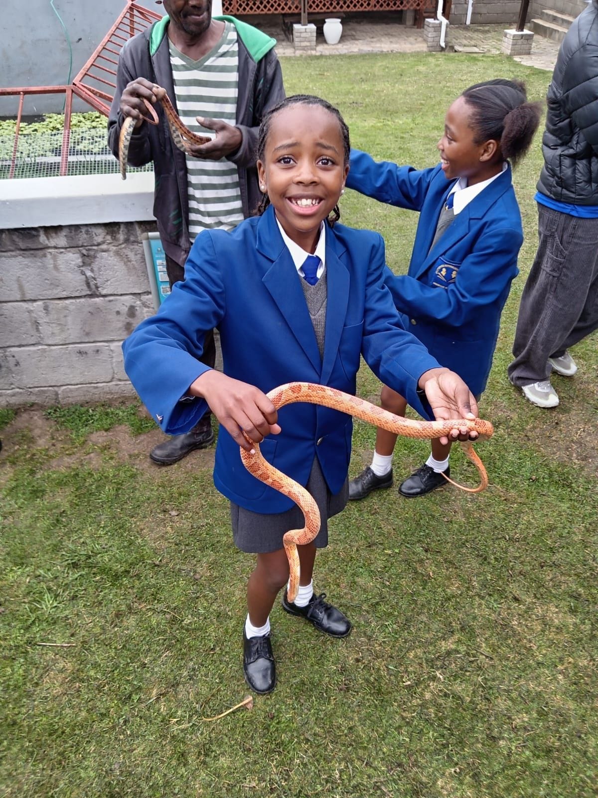 Venom Pit Excursion — Corn Snake Up Close