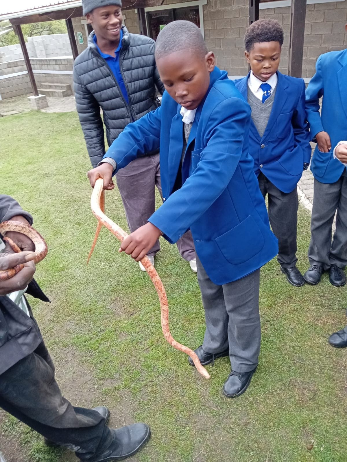 Venom Pit Excursion — Snake Handler